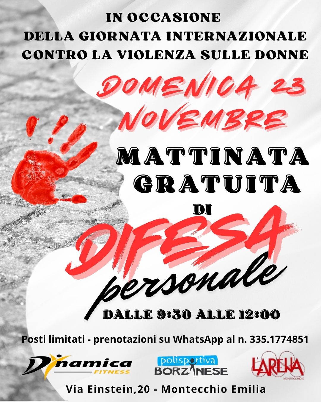 difesa personale, montecchio emilia, reggio emilia, gratis, gratuito, domenica, krav maga, polisportiva l'arena, arena, polisportiva borzanese, borzano, violenza, donne, giornata internazionale